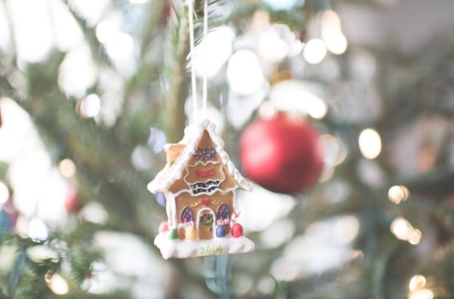Christmas Trees for Sale: Find the Perfect Tree